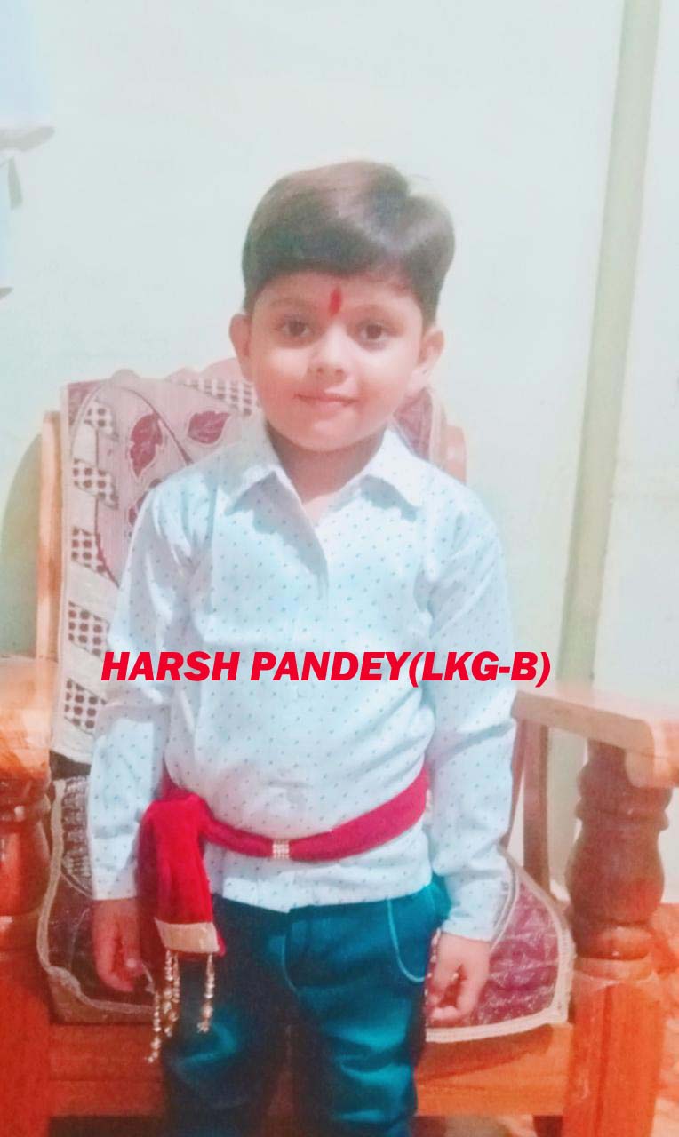  FANCY DRESS COMPETITION-LKG-B